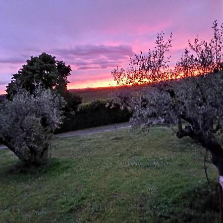 L'Orto Sul Poggio Bed & Breakfast Sutri Bagian luar foto