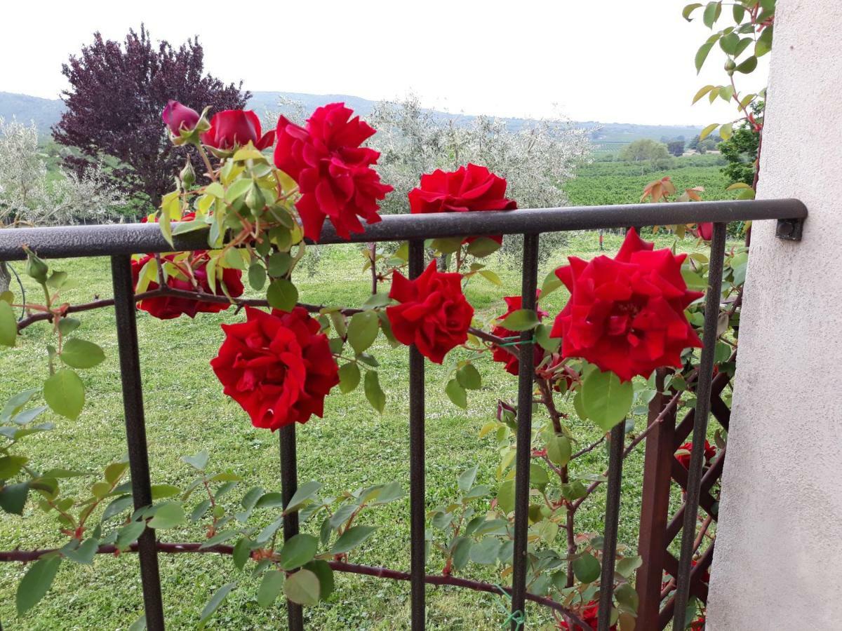 L'Orto Sul Poggio Bed & Breakfast Sutri Bagian luar foto