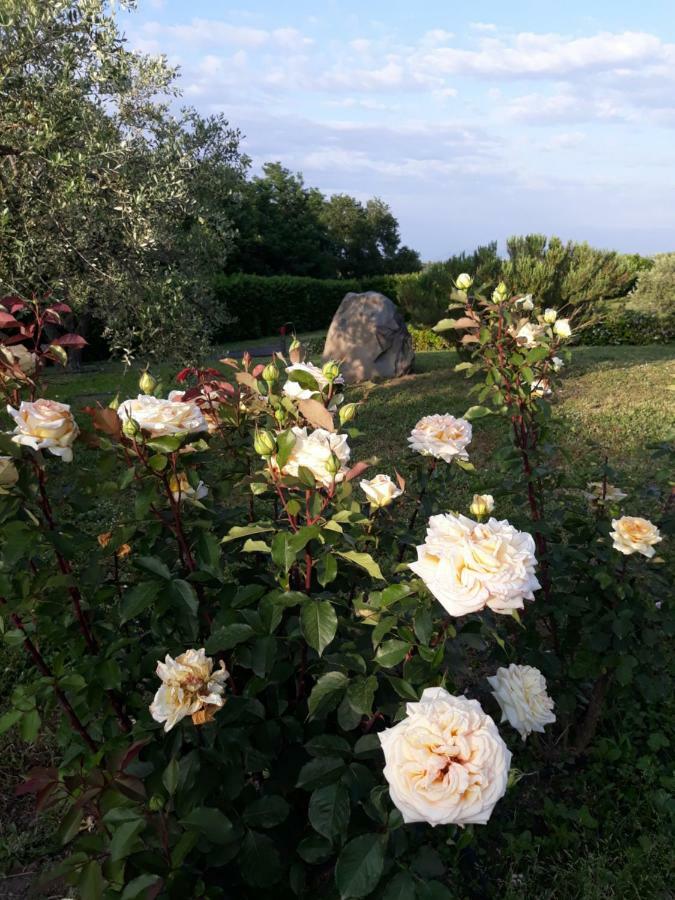 L'Orto Sul Poggio Bed & Breakfast Sutri Bagian luar foto